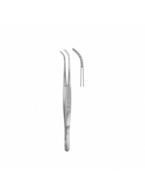 Dental Tweezers